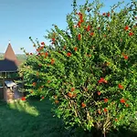아파트 Manor Hévíz