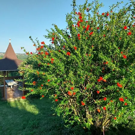 Appartement Manor Hévíz