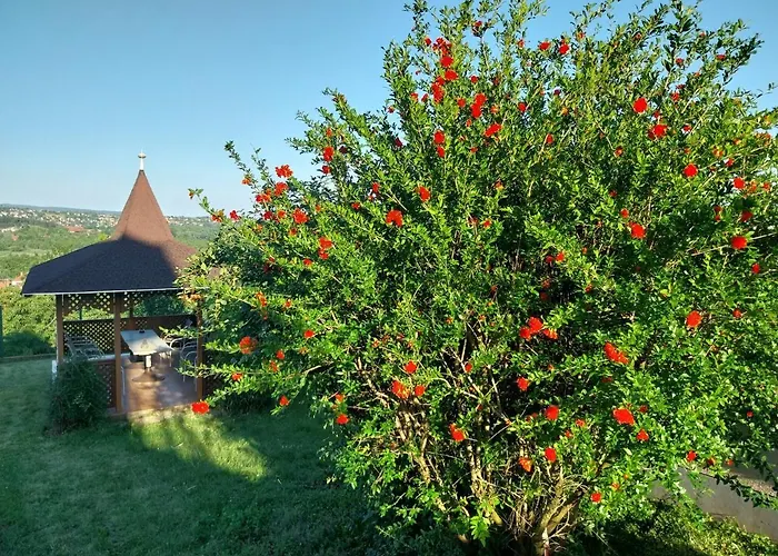 Apartman Manor Hévíz